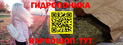гидра Абакан