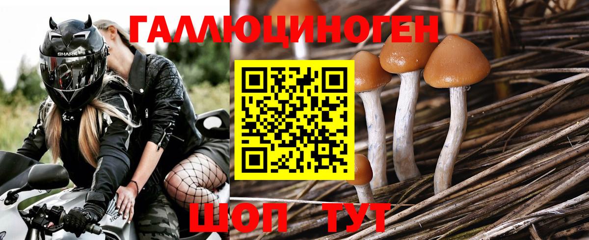 Галлюциногенные грибы ЛСД Азнакаево